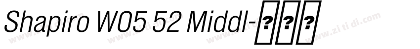 Shapiro W05 52 Middl字体转换 Shapiro W05 52 Middl字体转换